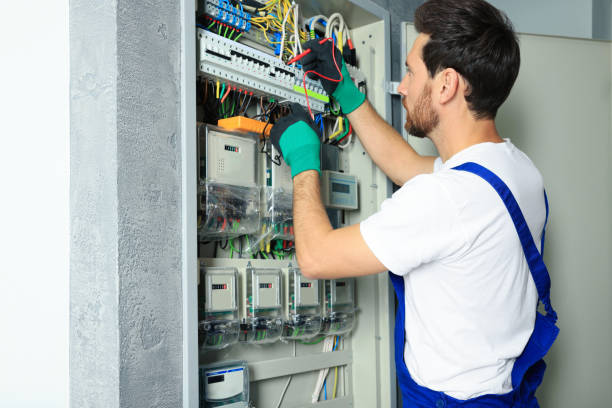 Best Electric Panel Repair  in Lakeside, CA